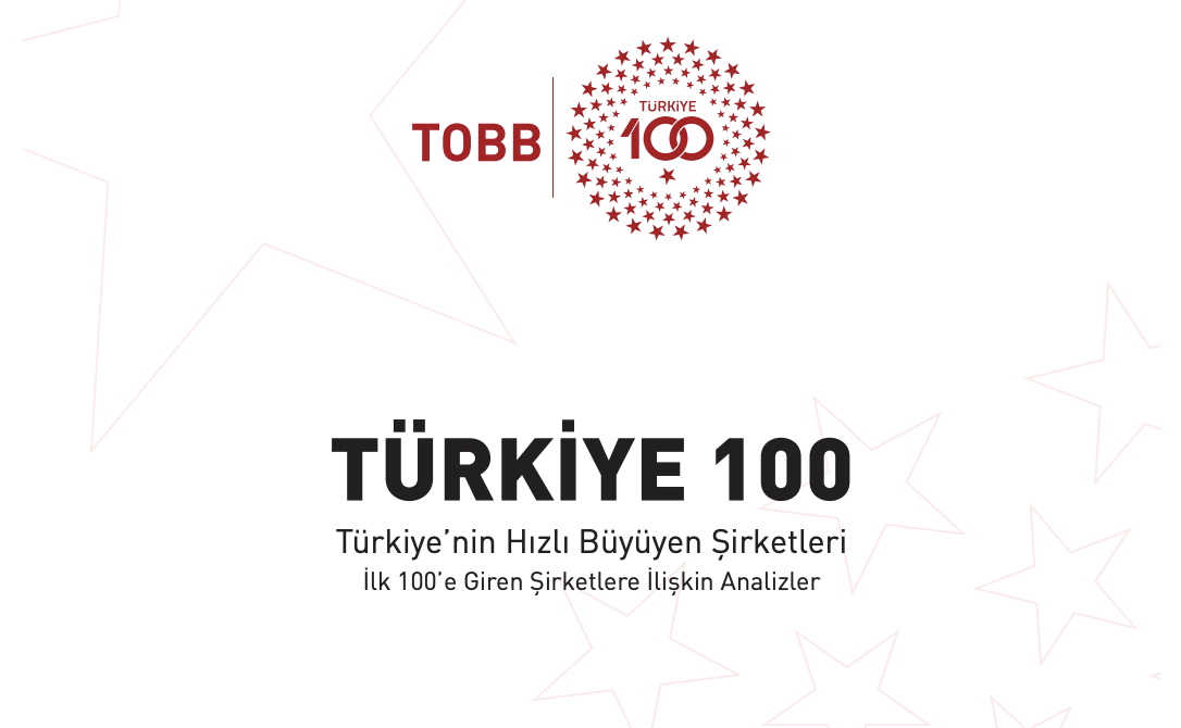 TÜRKİYE 100: Türkiye’nin Hızlı Büyüyen Şirketleri İlk 100’e Giren Şirketlere İlişkin Analiz Raporu