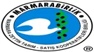 MKS Marmara